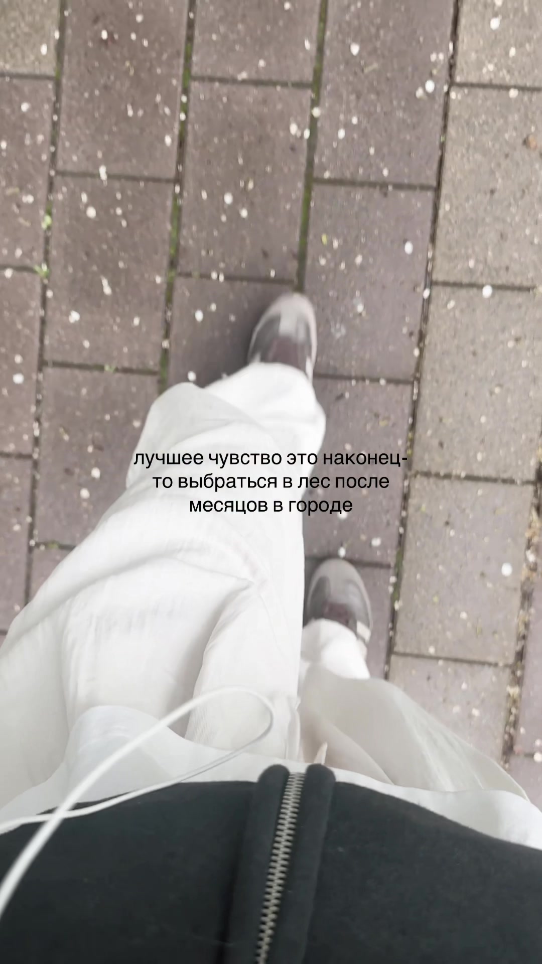 @𐙚⋆°🦢。⋆♡