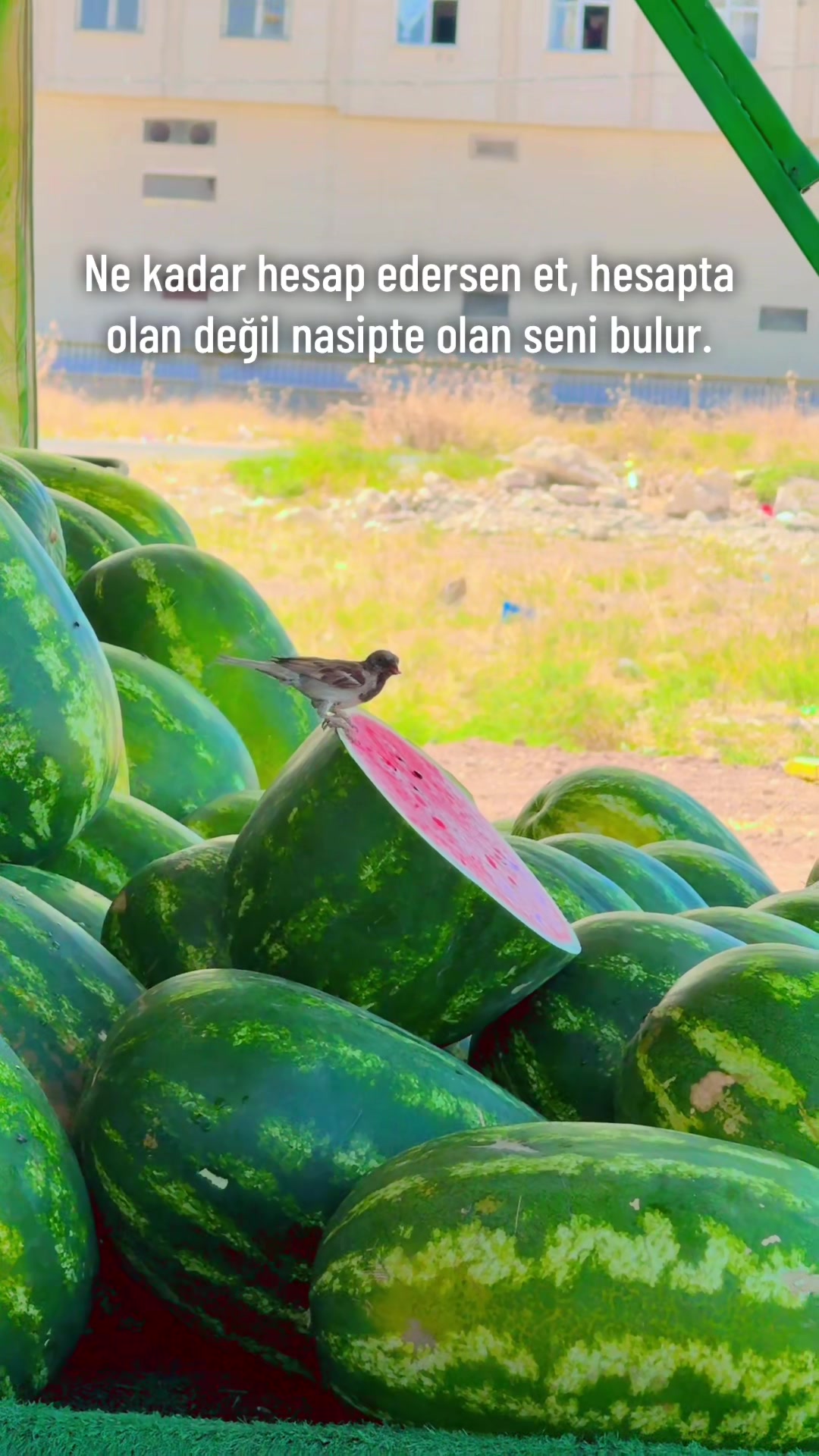 @İsmail Aslan