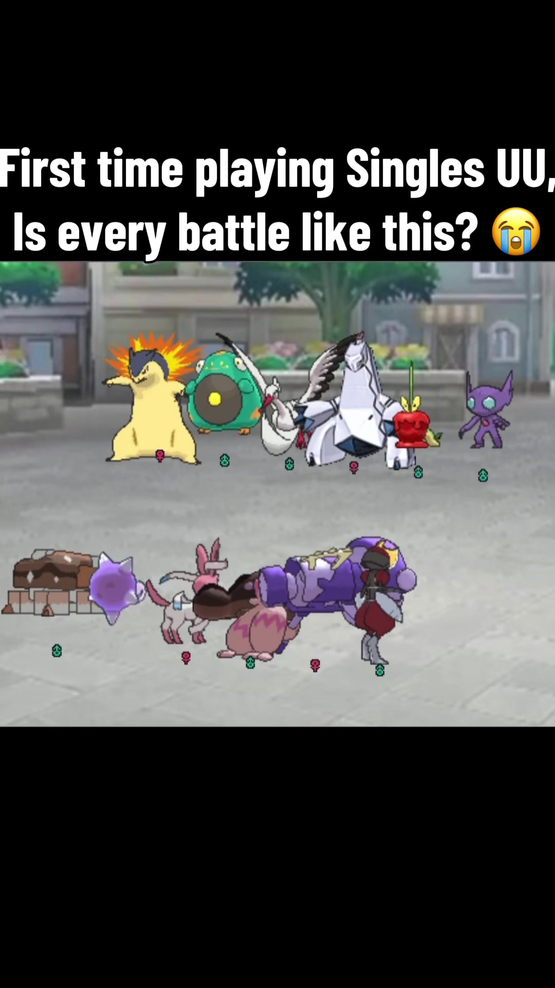 @#1 Ampharos Glazer ⚡️