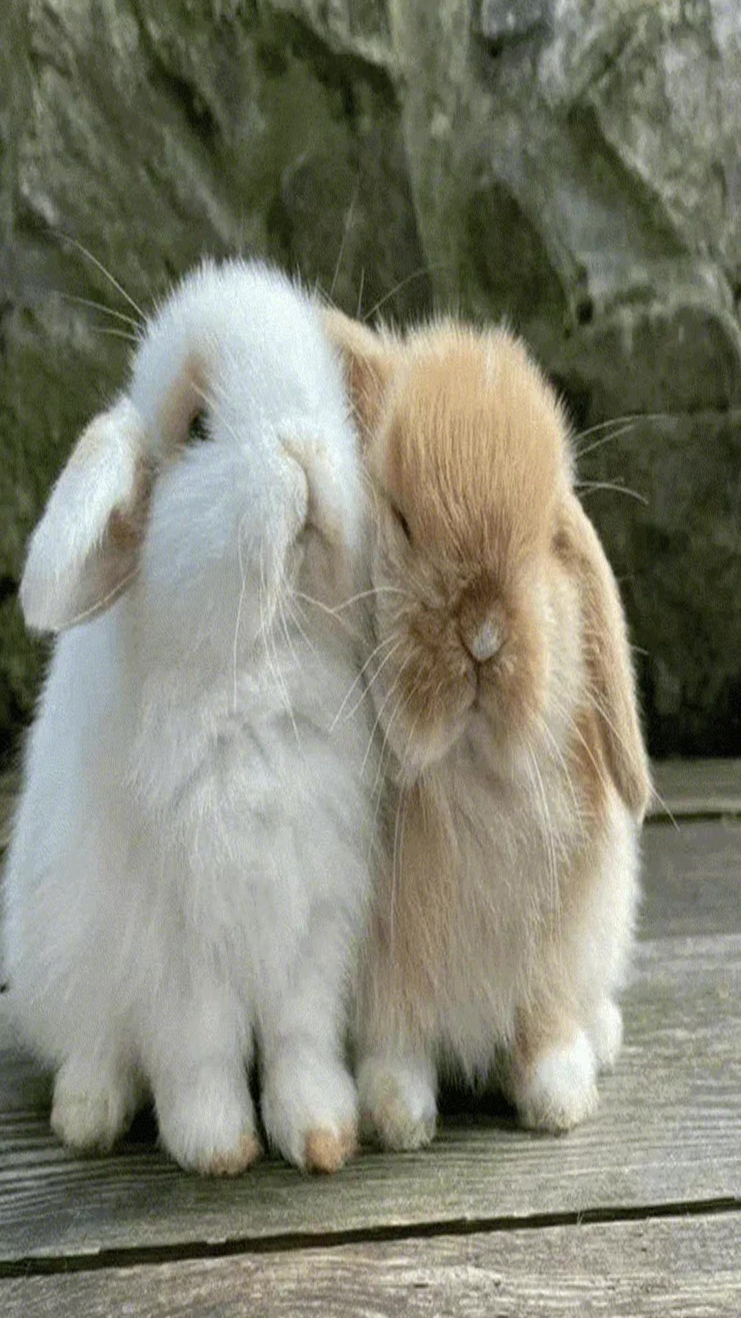 @mewuro