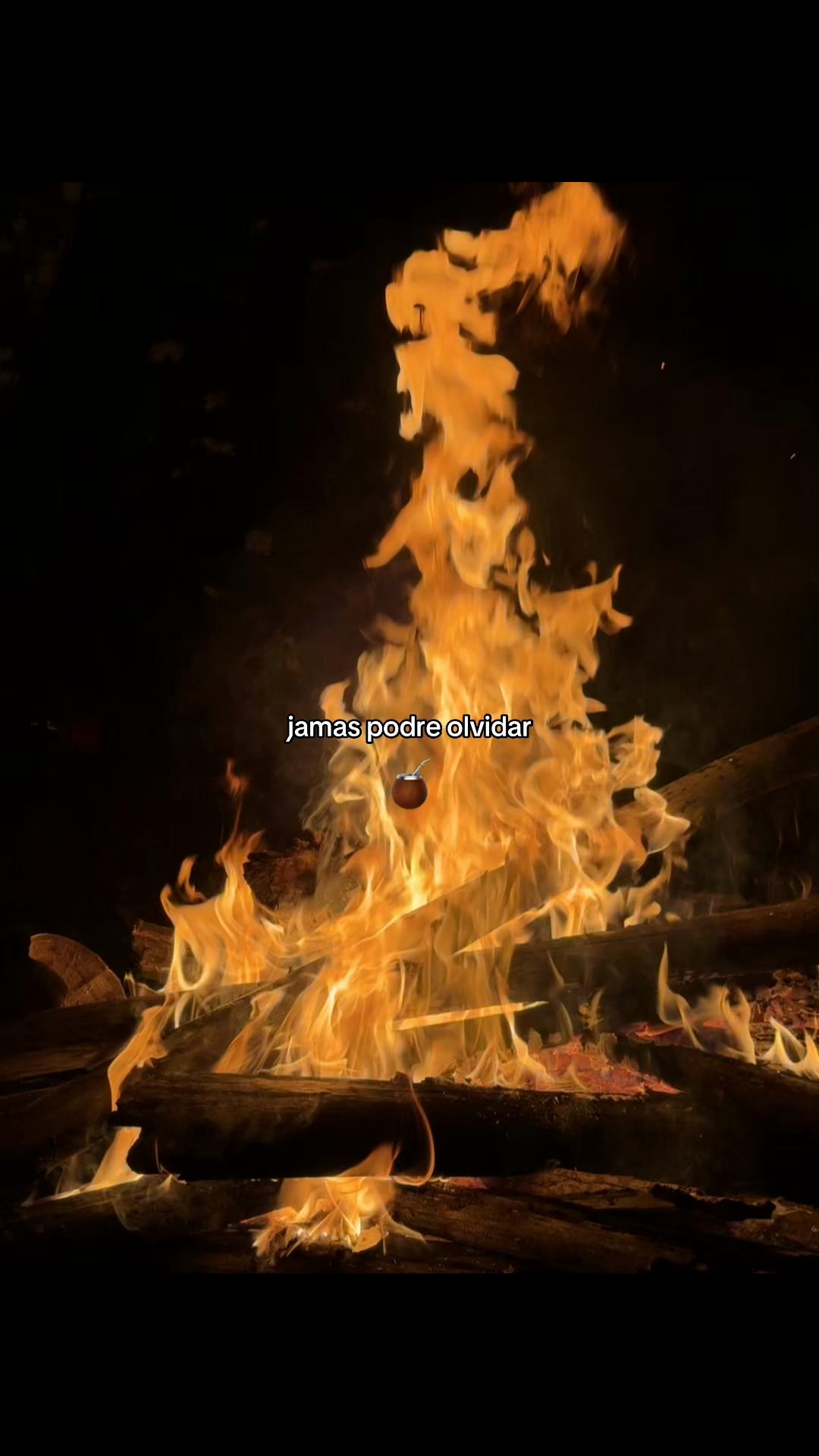 @Jhunior 🐦🔥