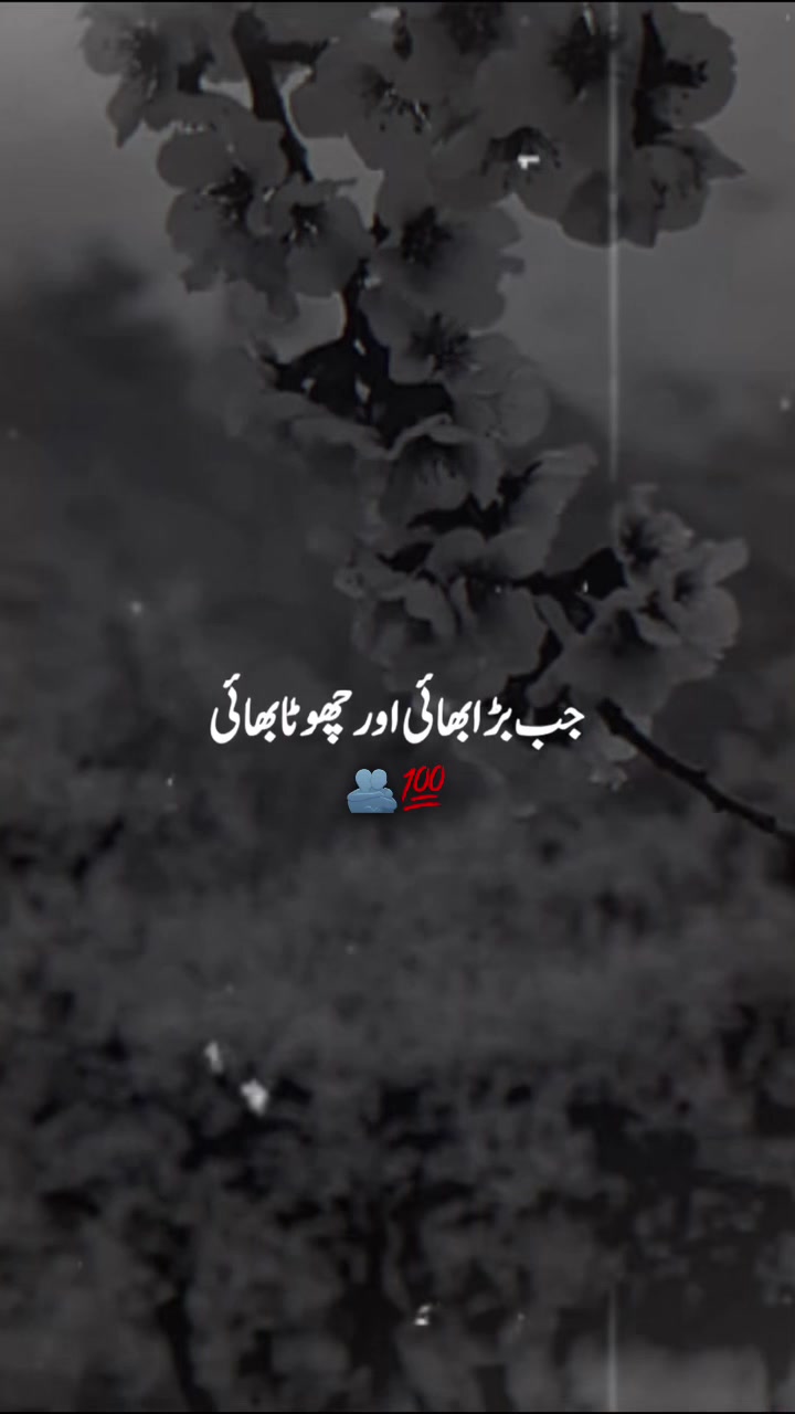 @پنڈا والے  راجپوت☘️☘️ظفر وال🤗