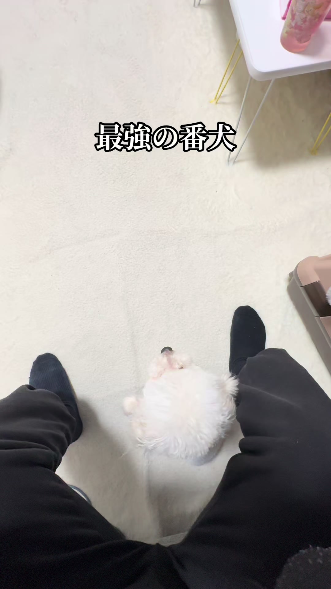 @20㎝マ-君☕️