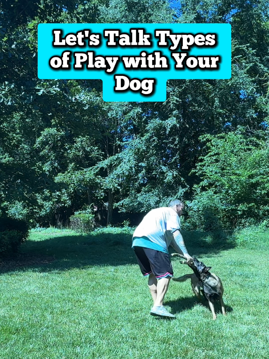 @Lost Boys K9 Academy