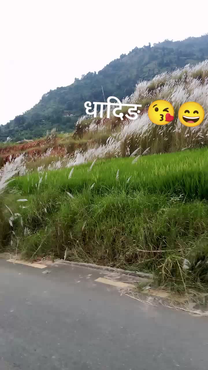 @❣️Rajita ❣️