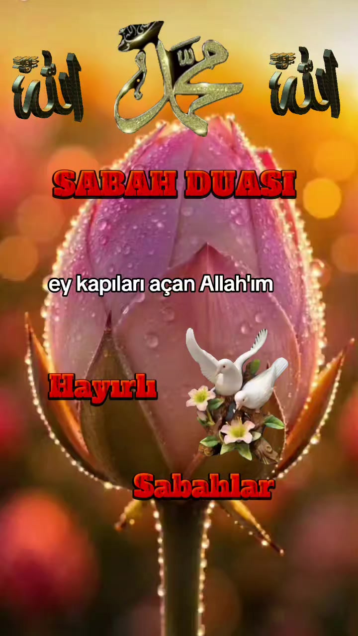 @aynur Kocakaya 280.🤲
