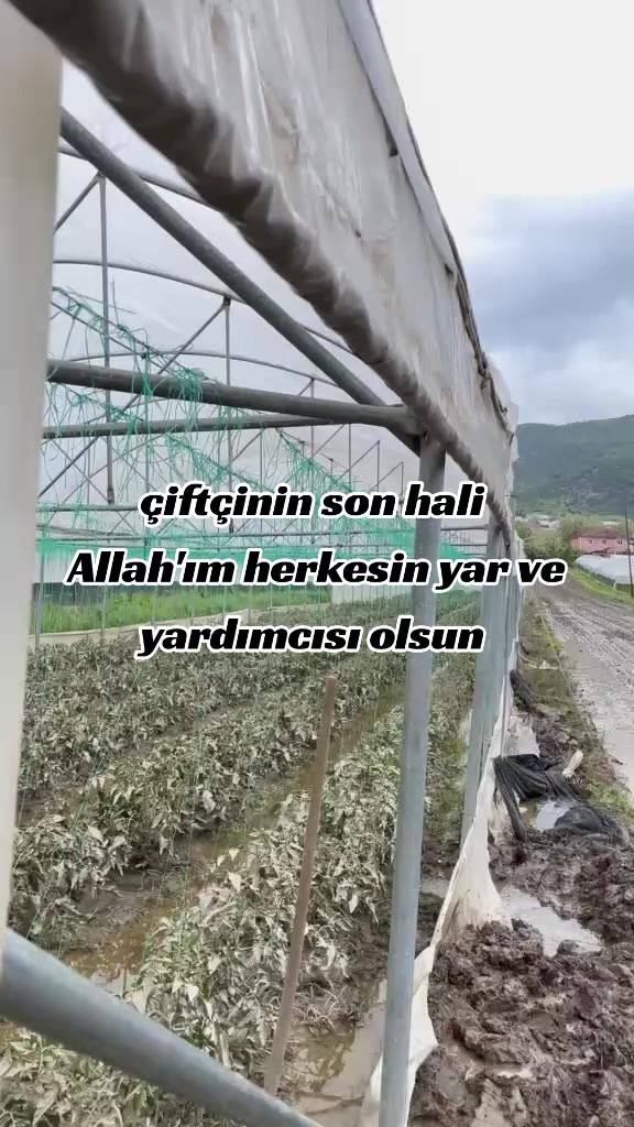 @(📍Y_T📍)