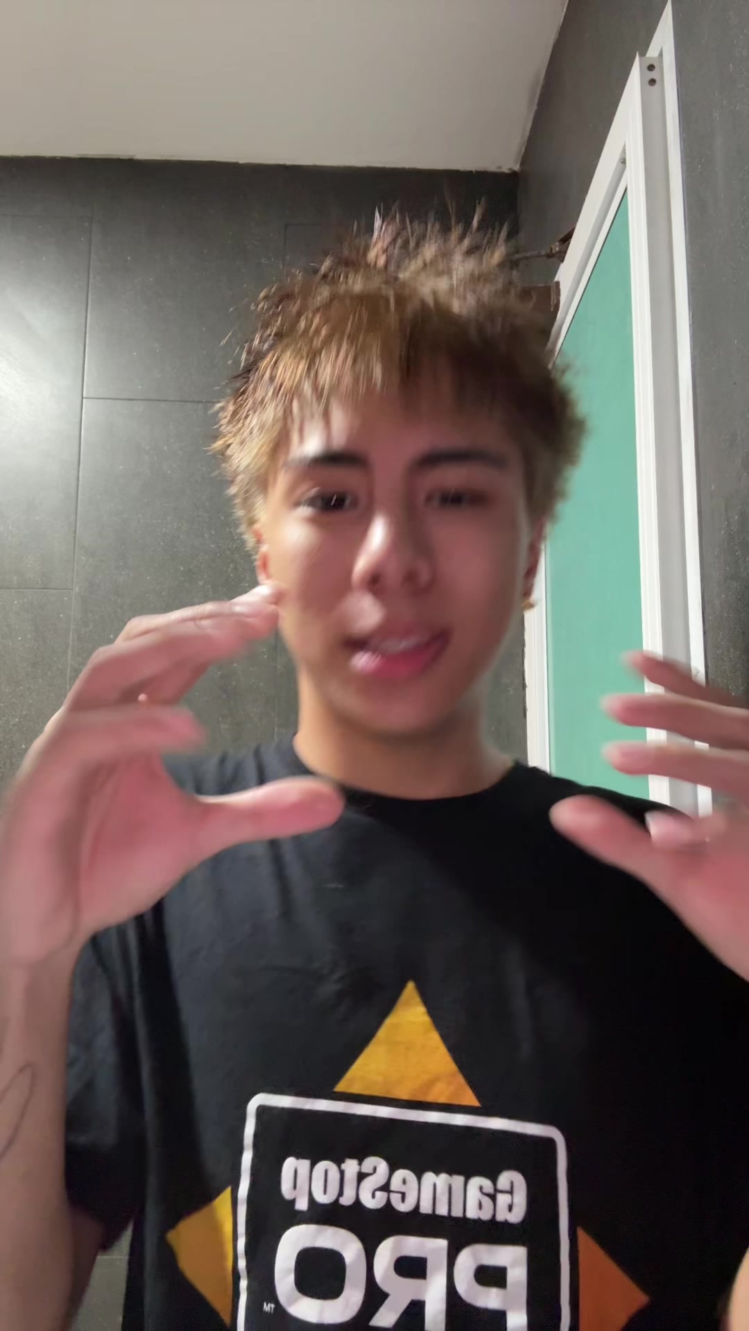 @brotato chip