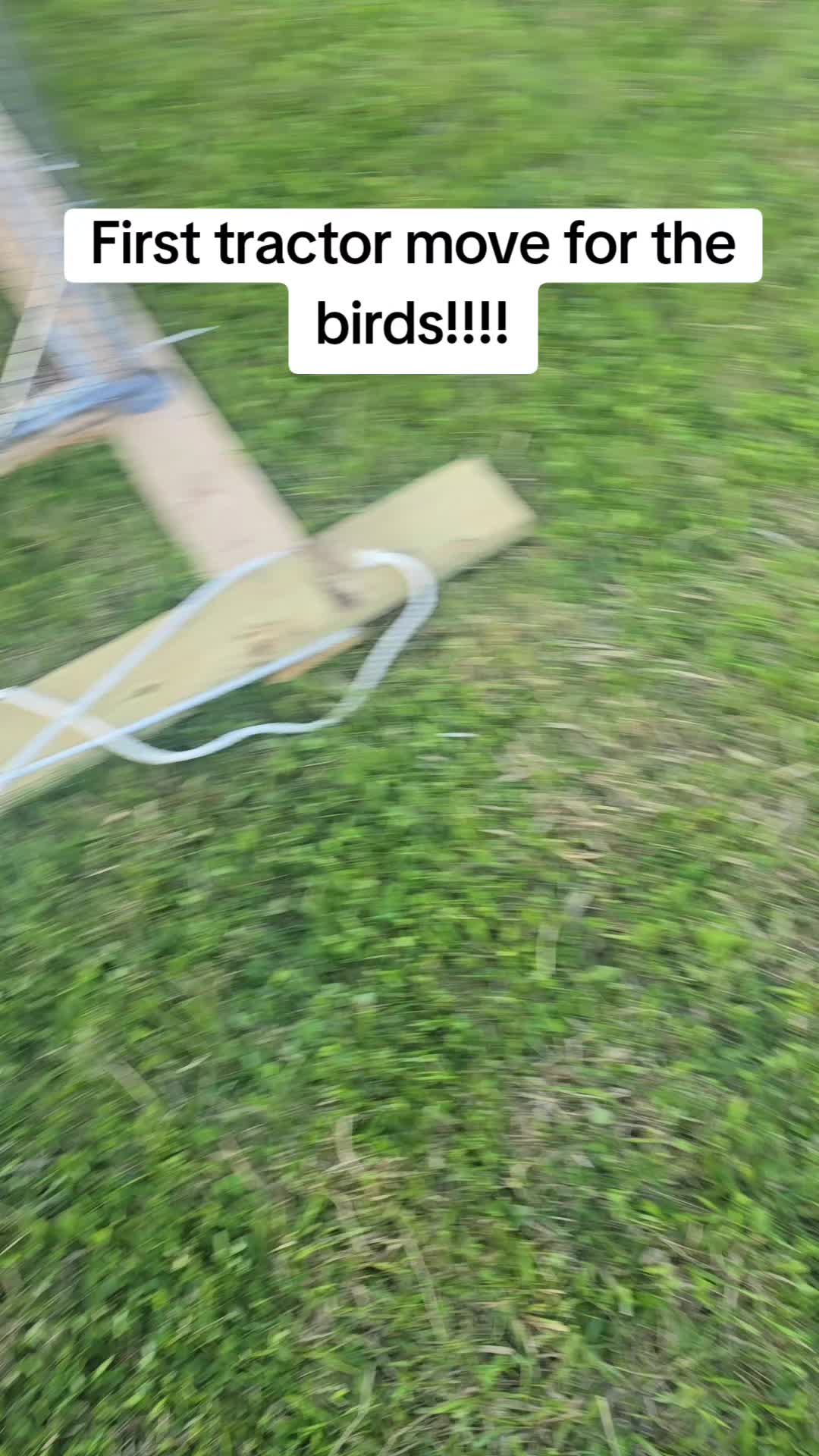 @2nd_Amend_Pasture_Raised_Eggs