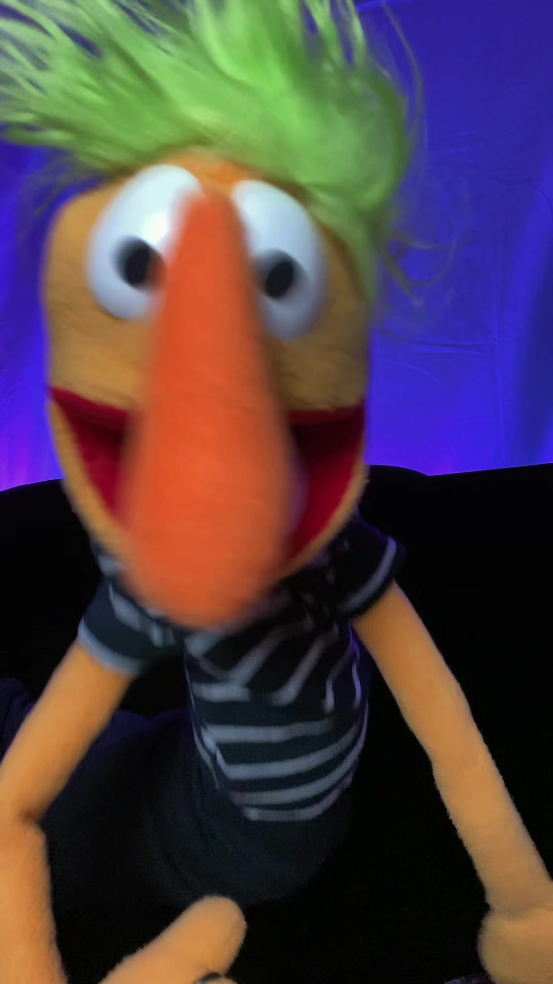 @Goodman&rsquo;s Wacky Puppets