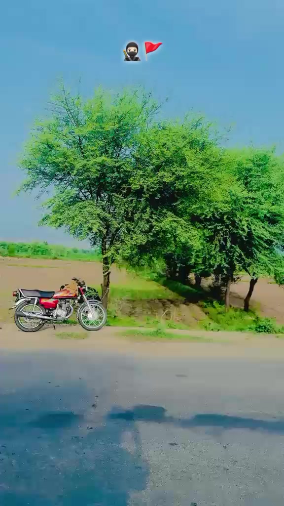 @🥀✌🏻سیفی چھدرو آلہ🖤🦅