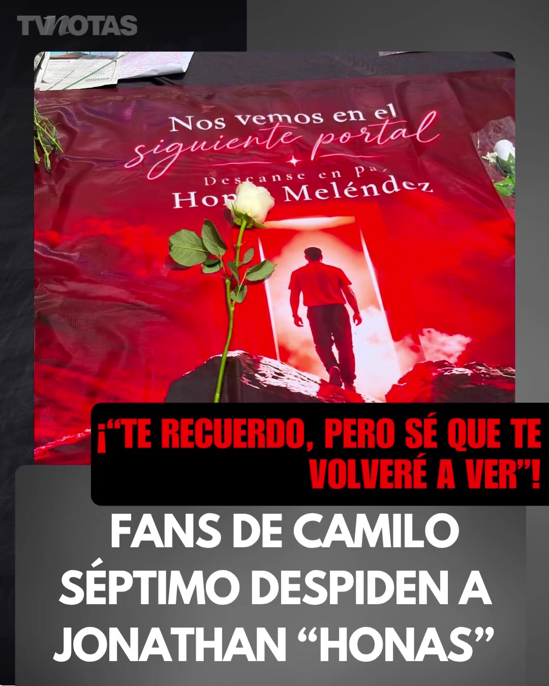 @Revista TVNotas