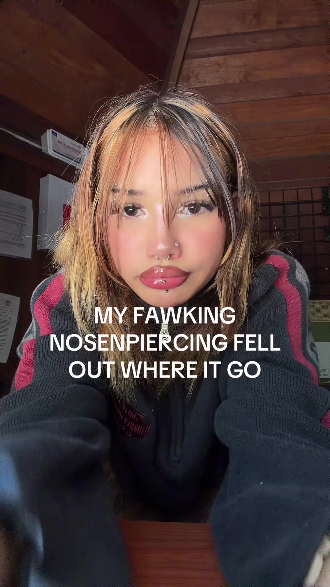 @kitty bobbi