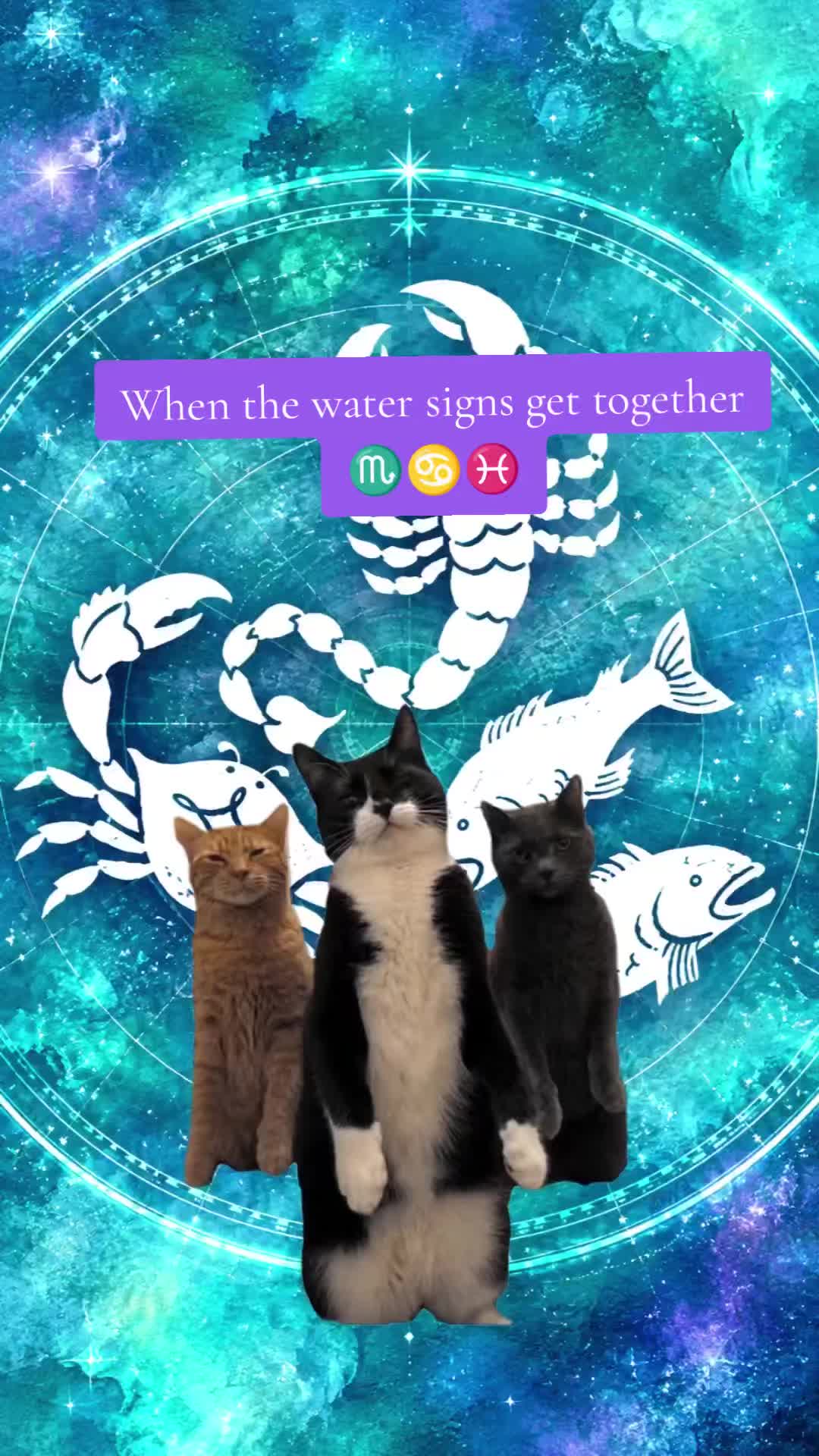 @Ami💜