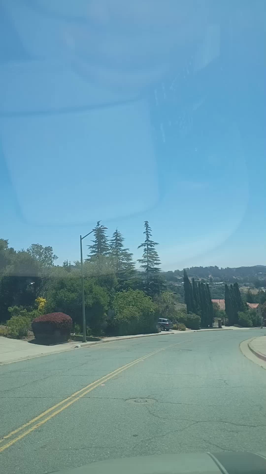 @Aurora Domingo