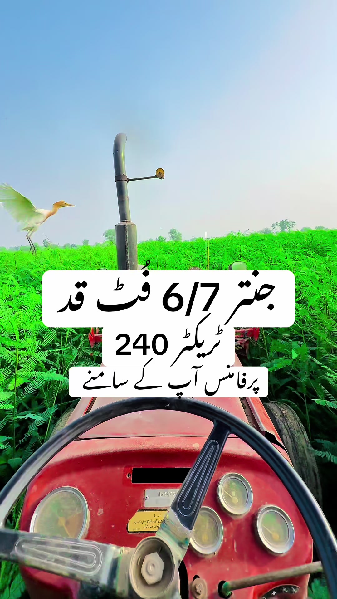 @sajarahmani