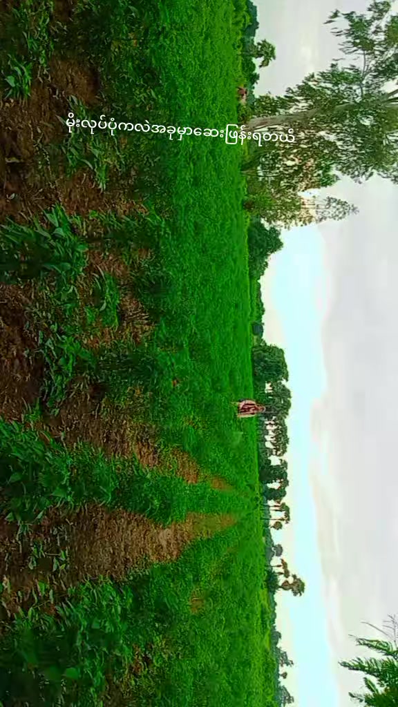 @8/နက်မောက်သားလေး