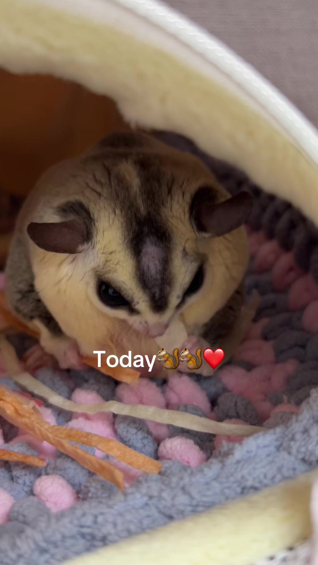 @jesugarglider.id1