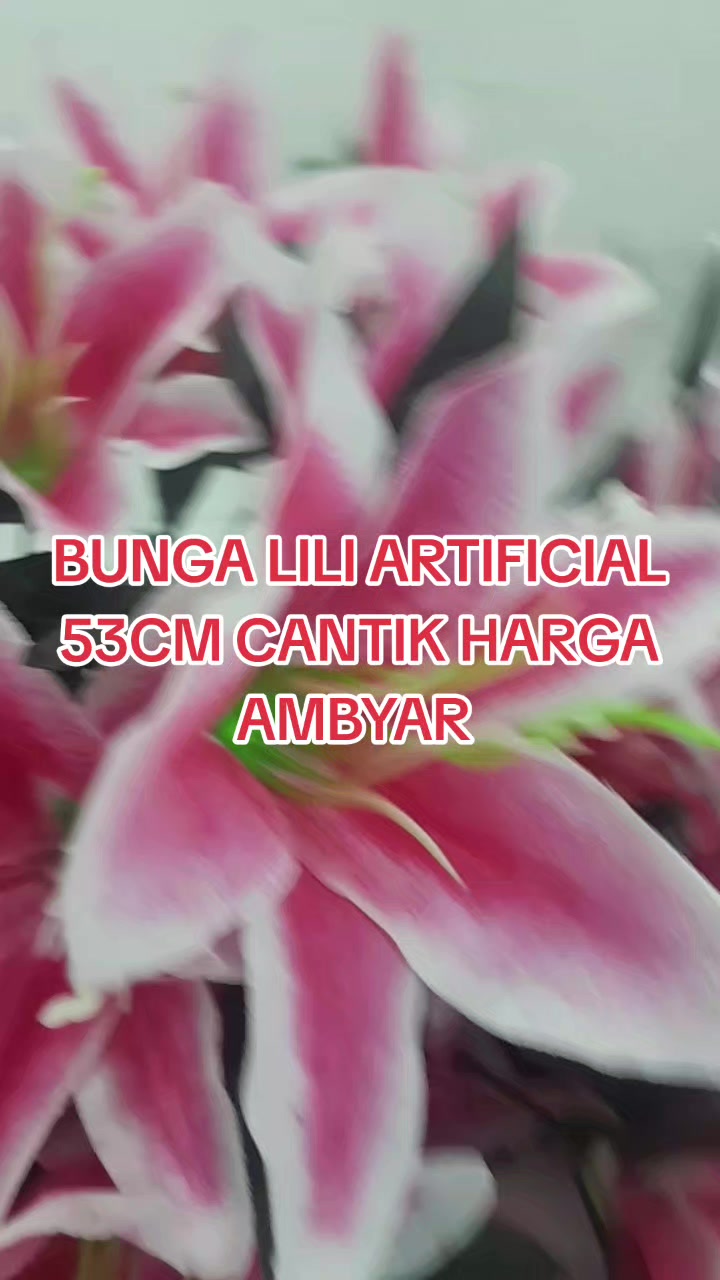 @Yanthy Gie