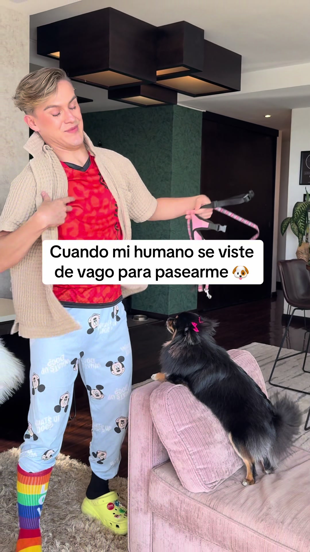@Peter V&eacute;liz 👑