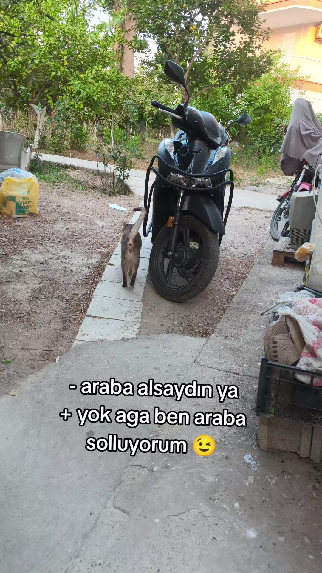 @Muharremcskn0307
