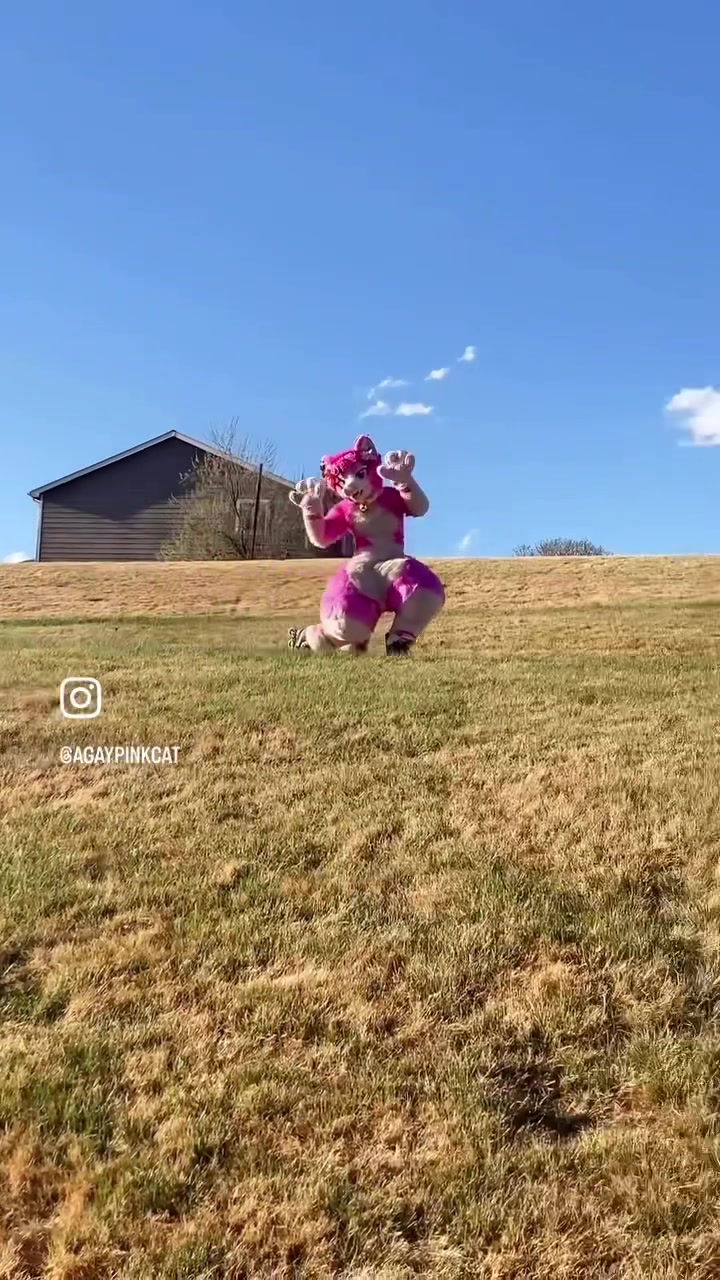 @AGayPinkCat