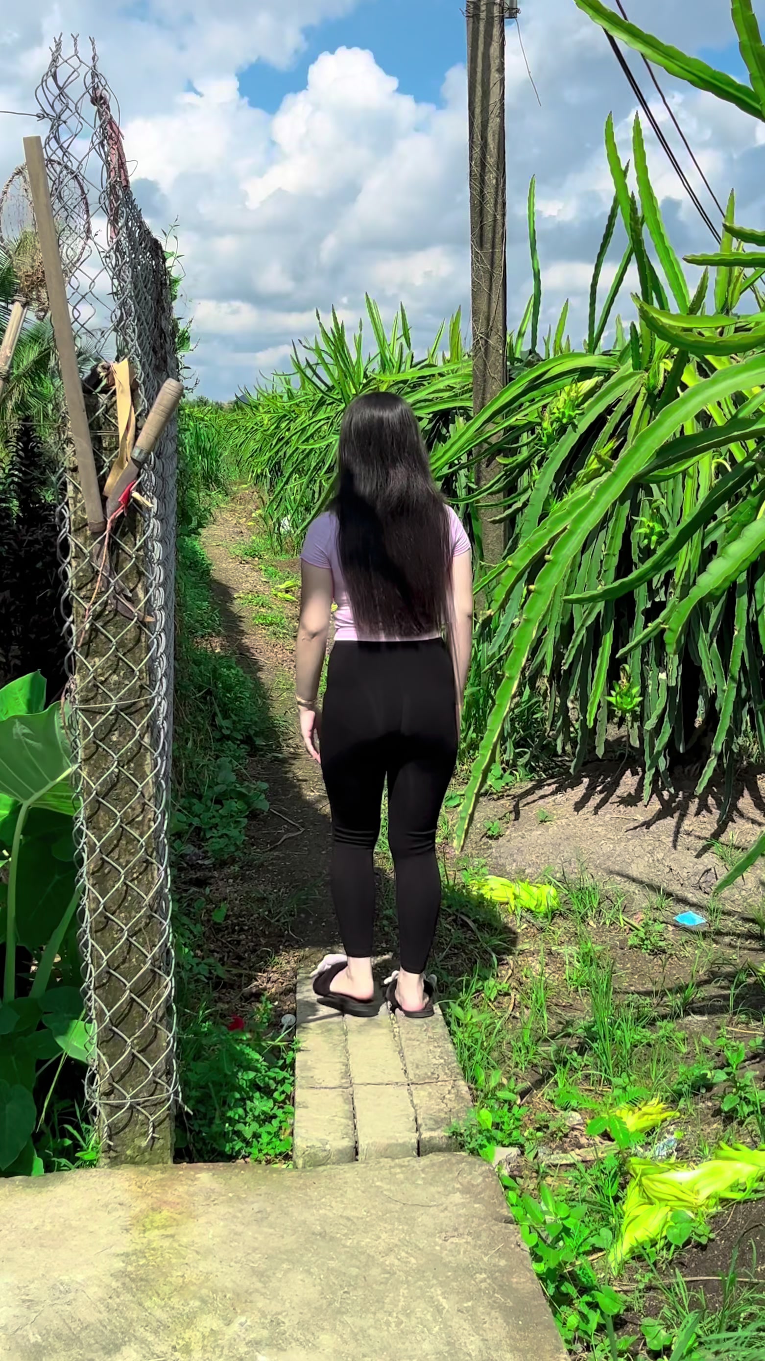 @Cẩm Tr&uacute;c