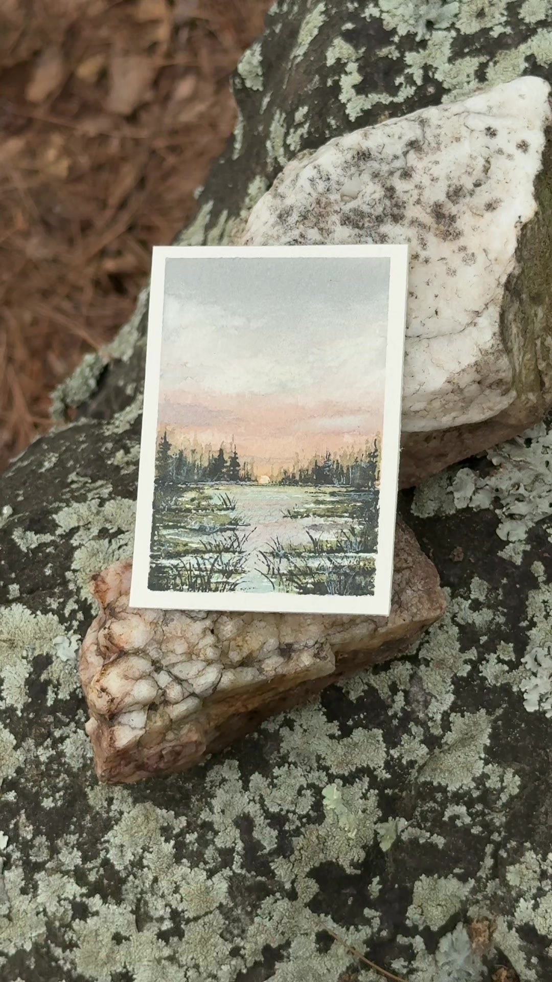 @Lark Watercolor & Art