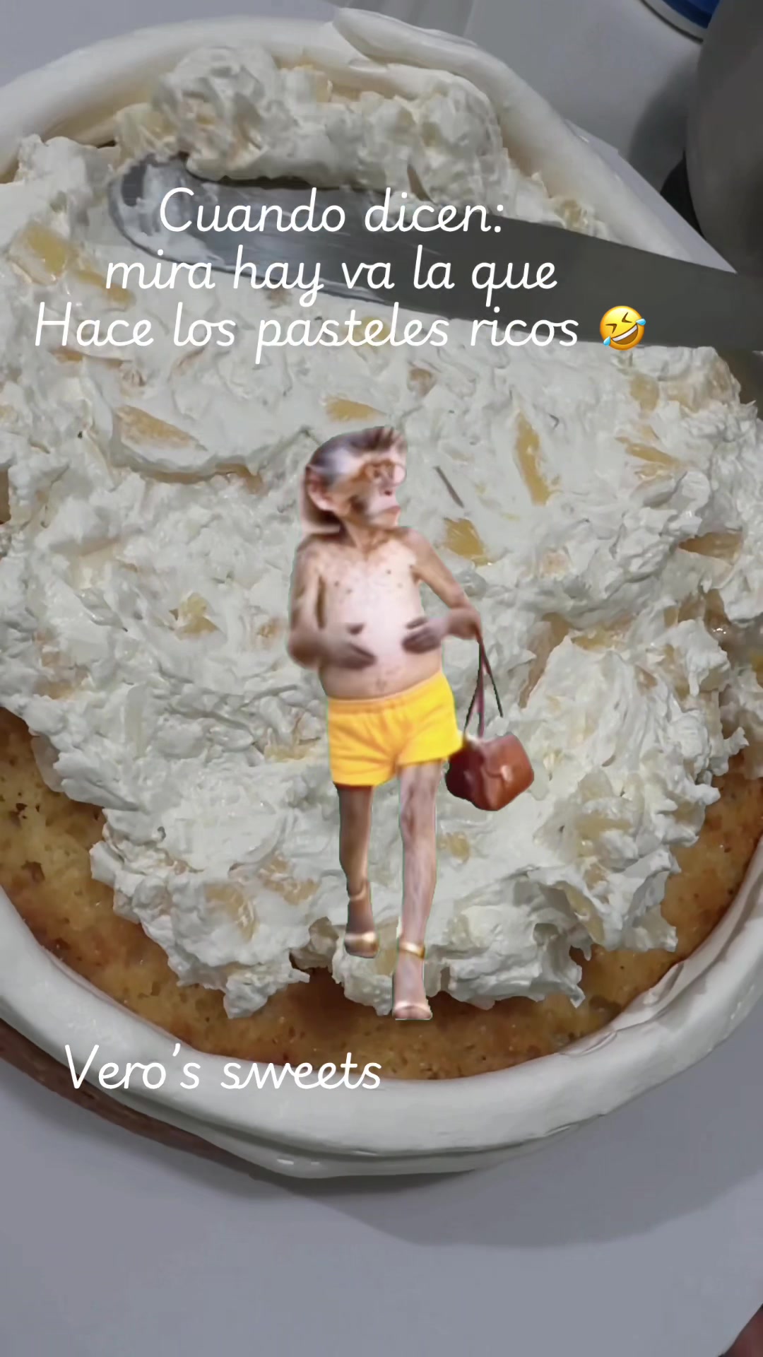 @veronica/postres
