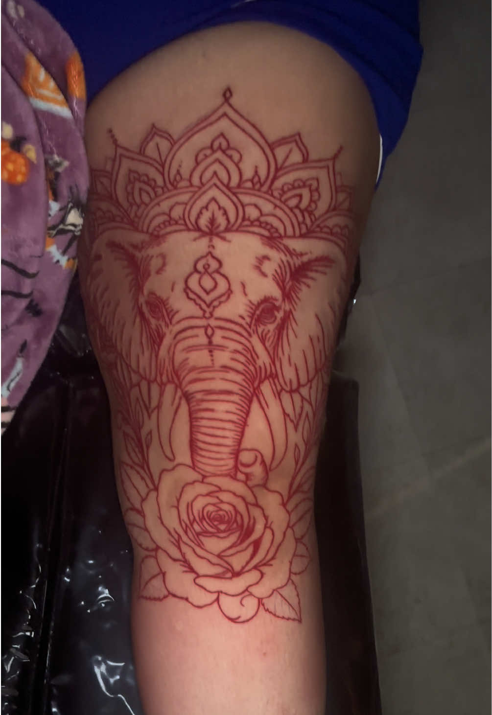 @Lady Ink