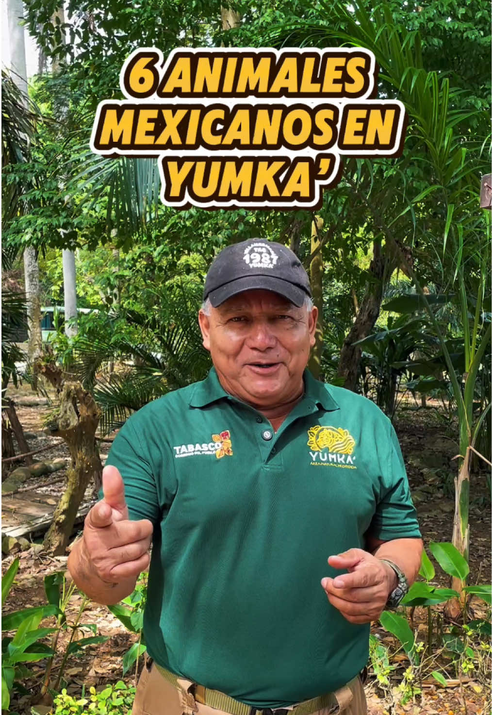 @YUMKA ANP