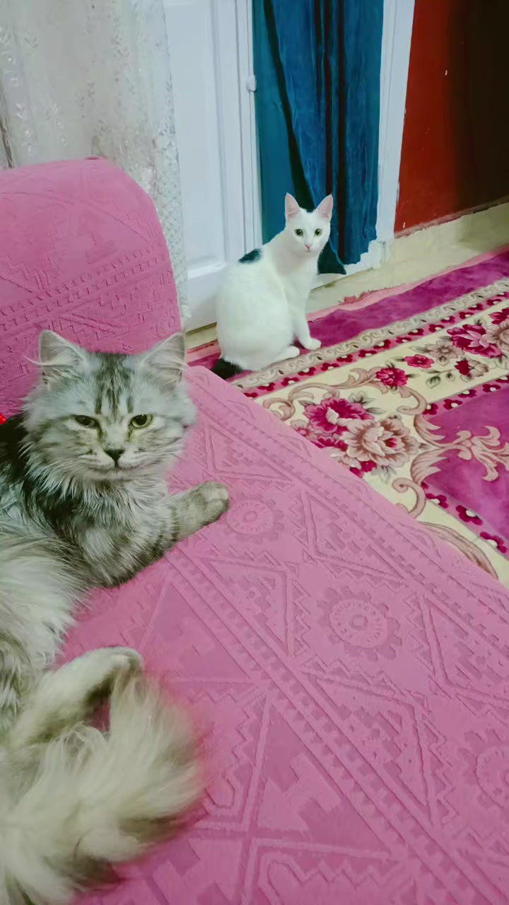 @Ghada _Al_Abyari_ غادة