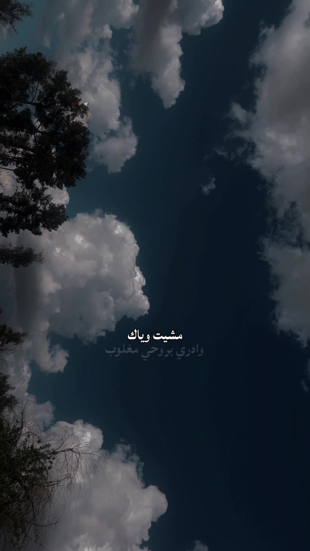 @tuba_97