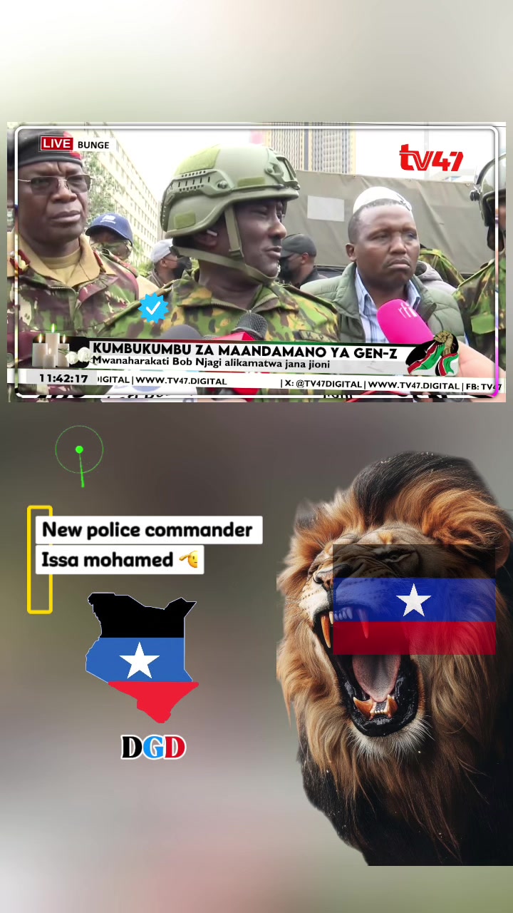 @TV_DAGODIA🇭🇹🦁🫡🦅🚨