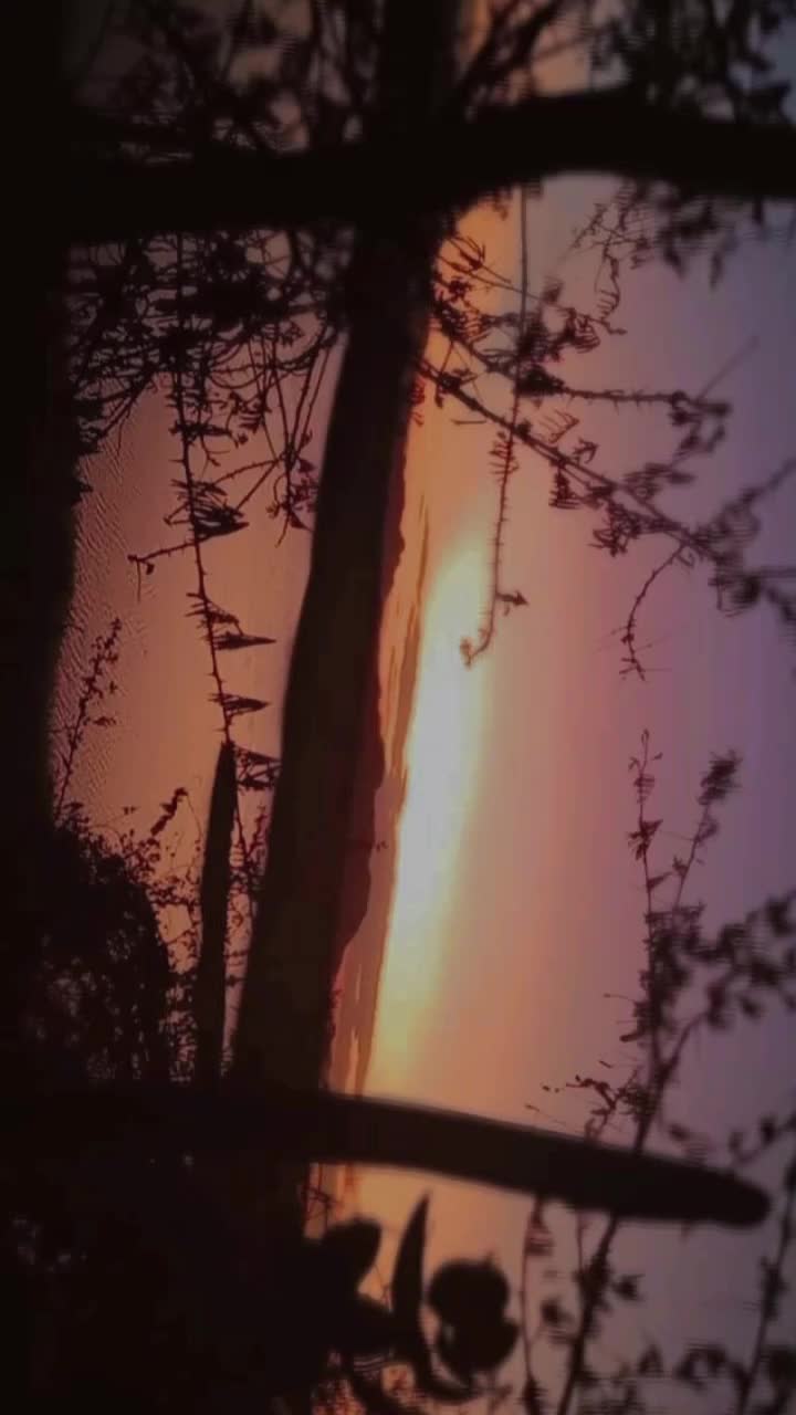 @Vanuza❤️&zwj;🔥