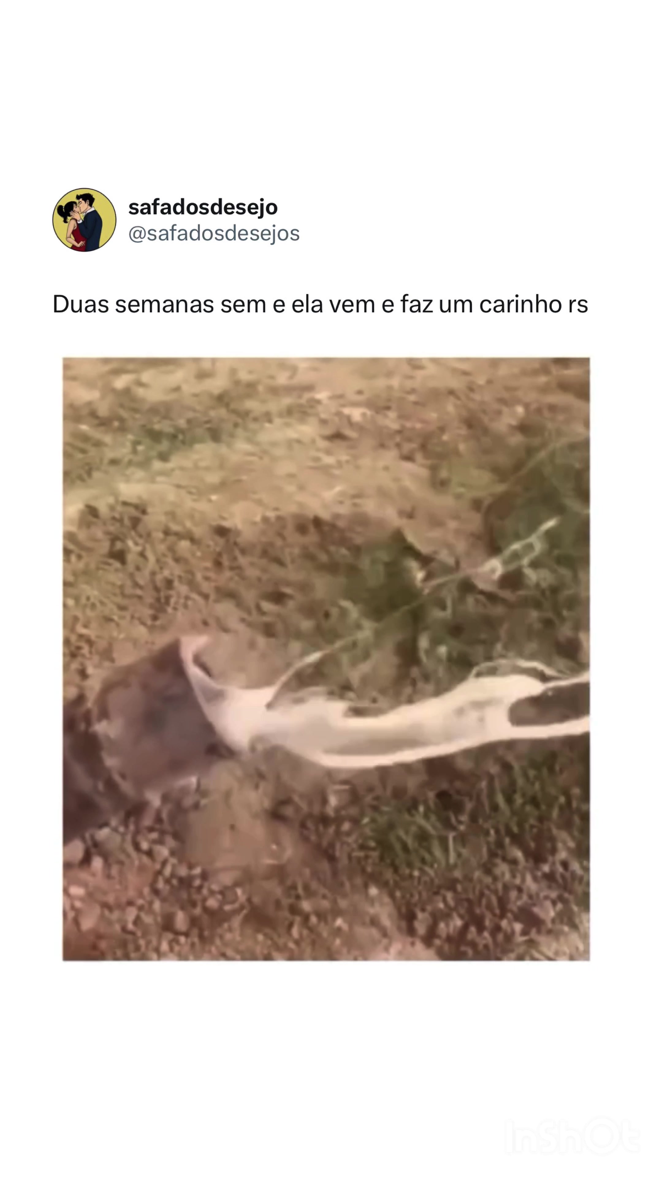 @SAFADODESEJO 🌶
