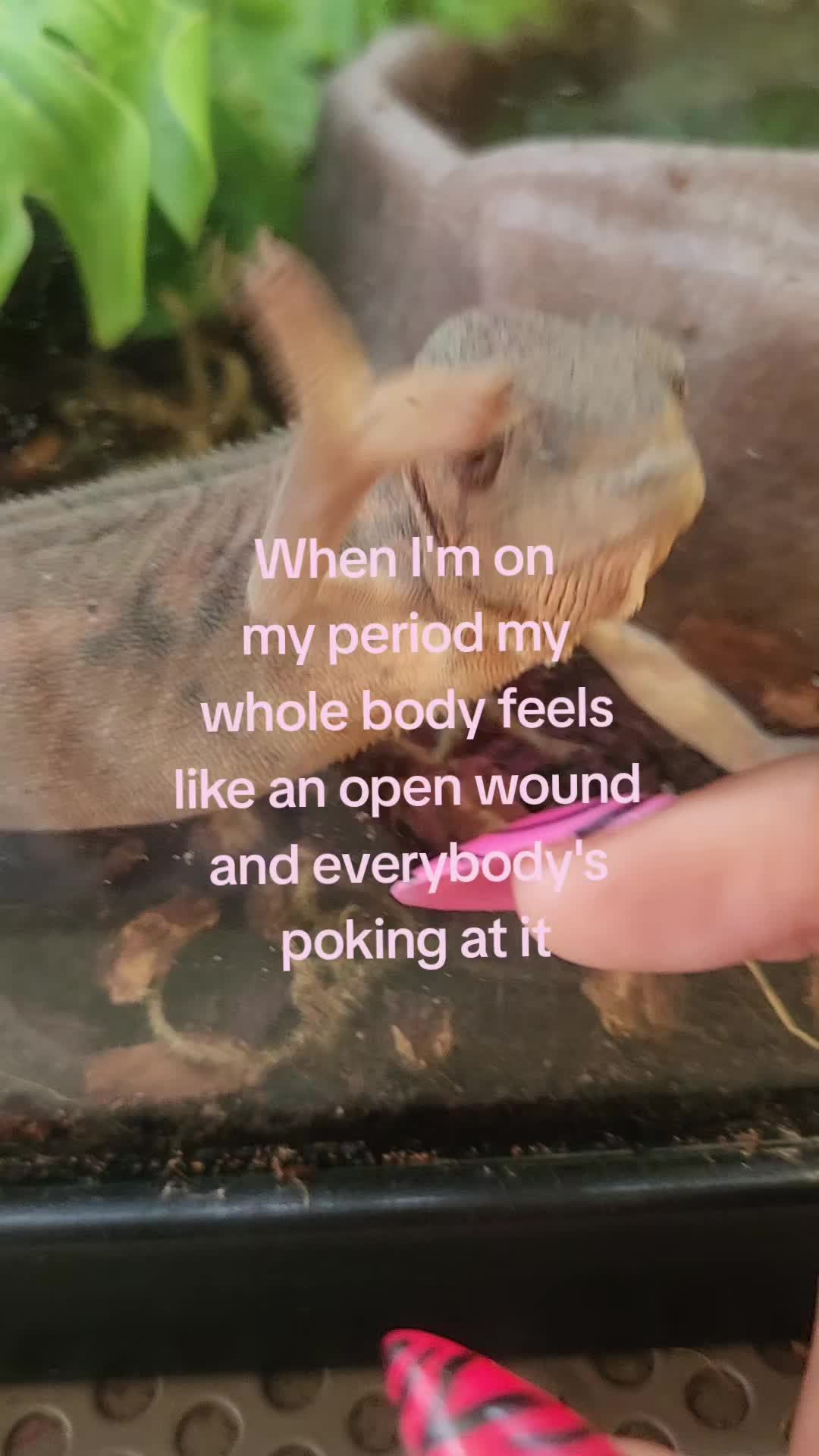 @August 🦨