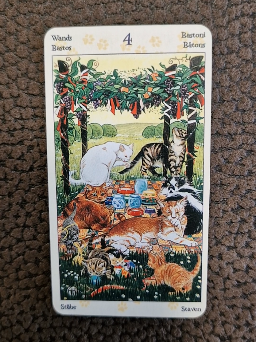@Tarot Botschaft