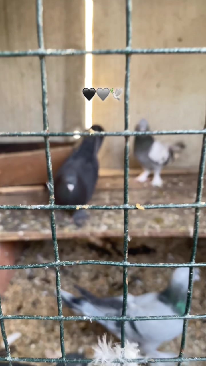 @OğuzhanAkk007