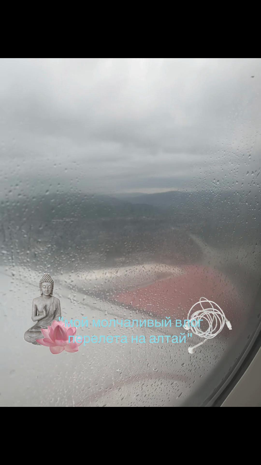 @виво