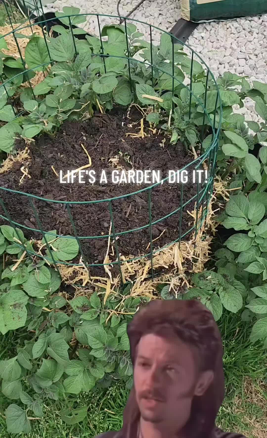 @Lana -🐕&zwj;🦺Dog Mom & Gardener