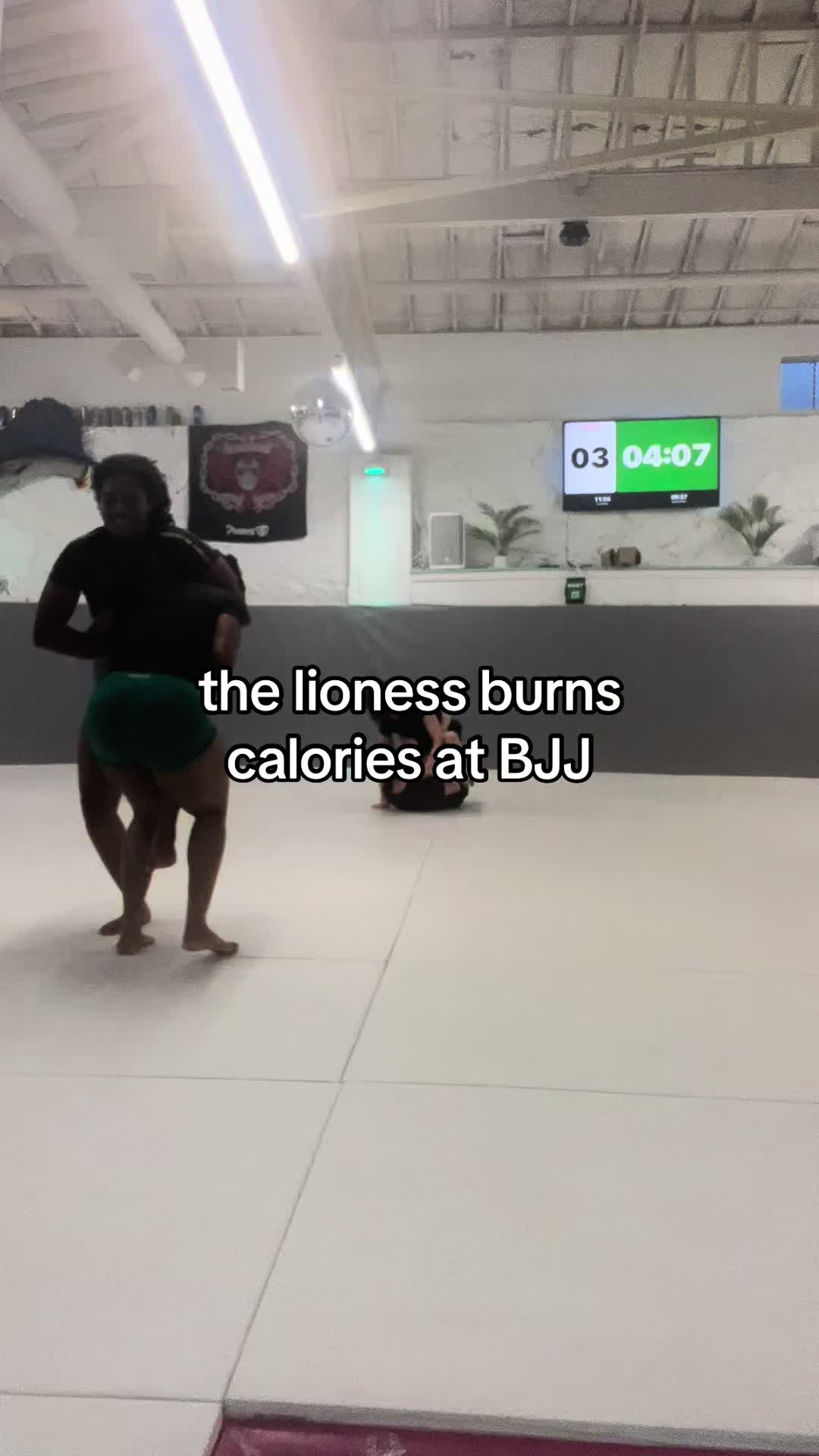 @mizaandoesthings