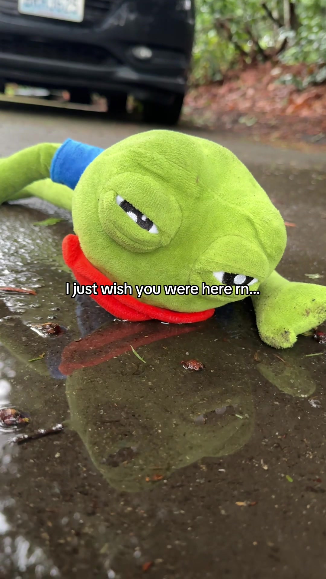 @Sad Frog Pepe 🐸