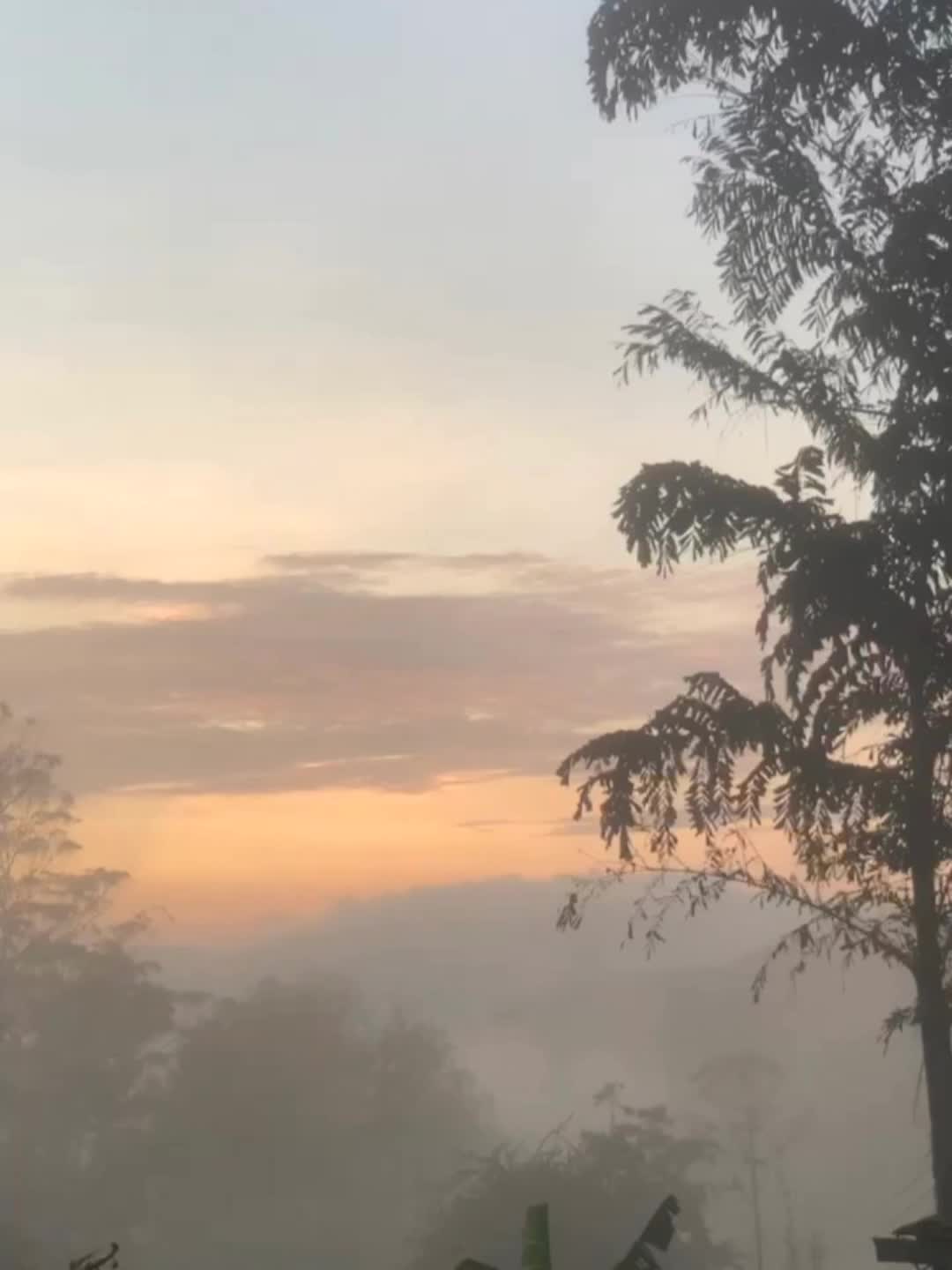 @𝒔𝒉𝒆 𝒓𝒐𝒔𝒆
