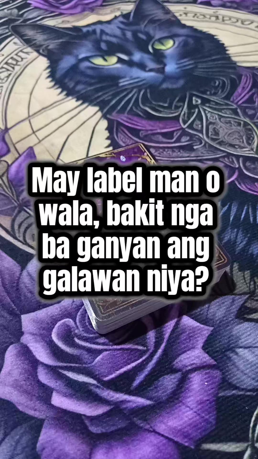 @Marie Tarot Reader