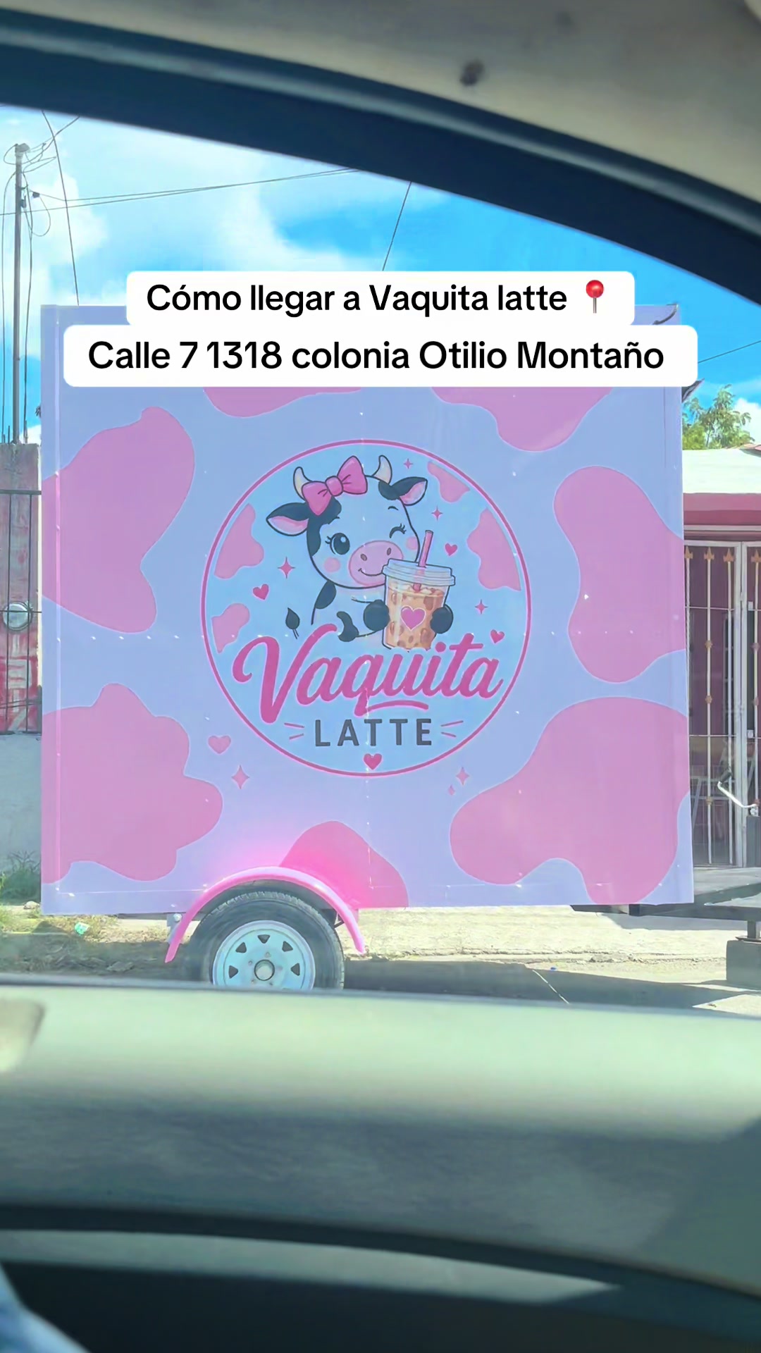 @Vaquita Ceila💖🐮