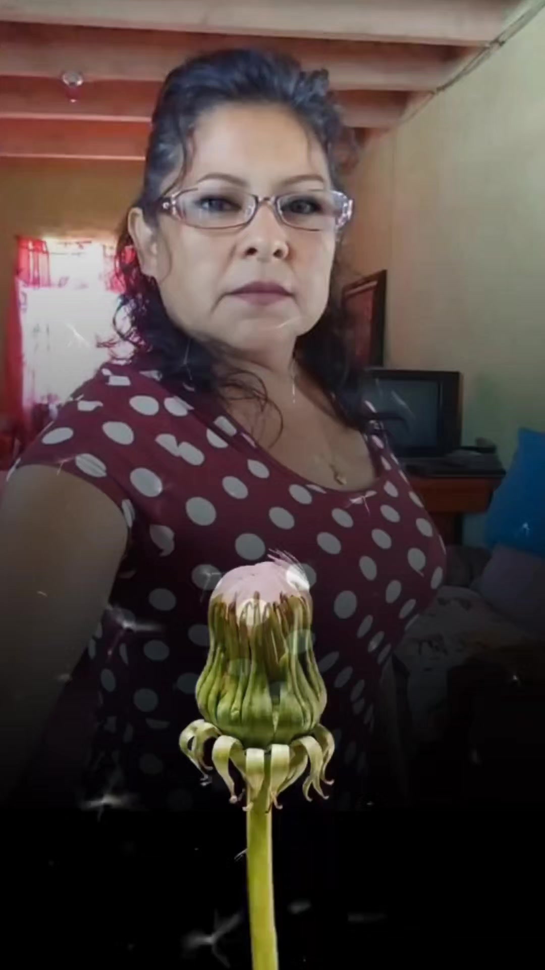 @Elena Salas