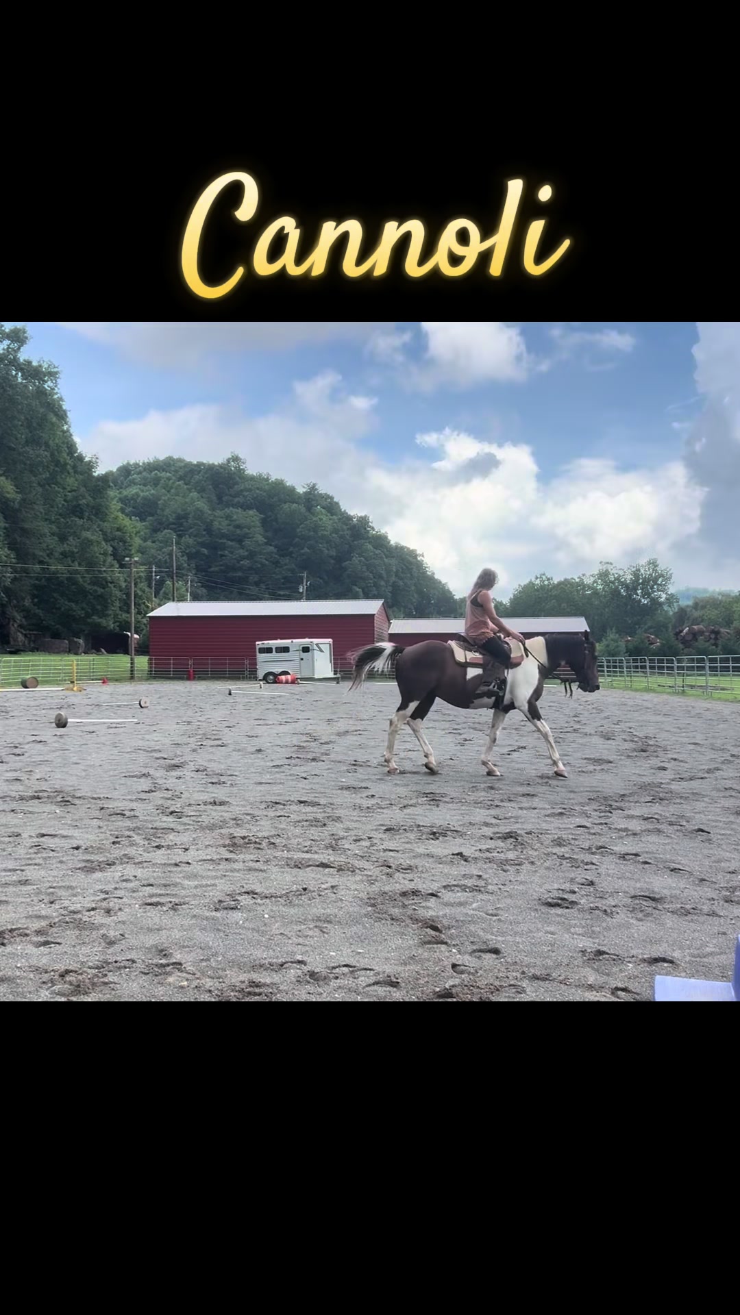 @Janet..Fuzzy.farm.gang