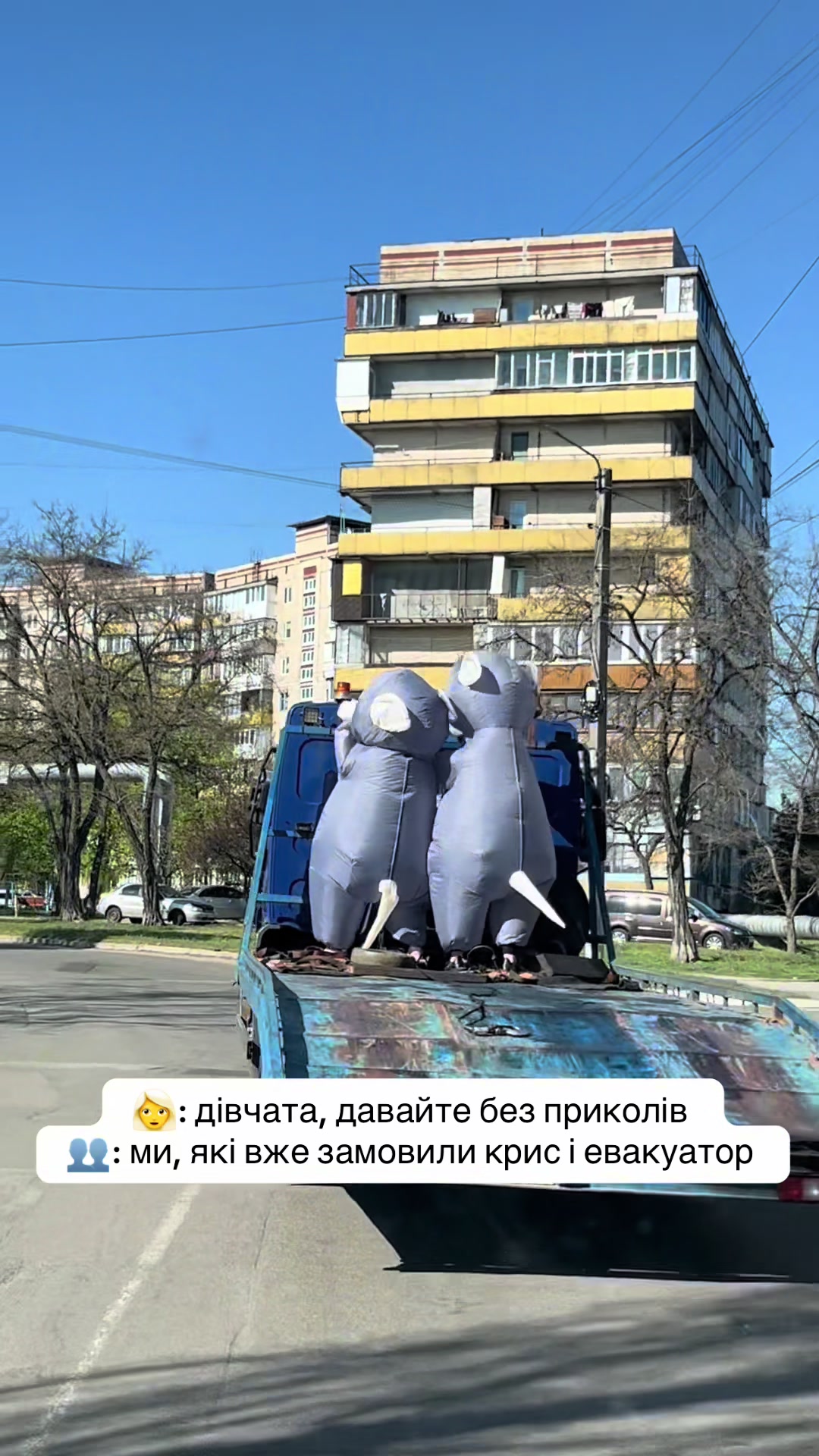 @Женя