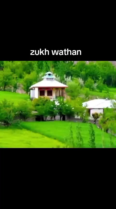 @faizullah1735